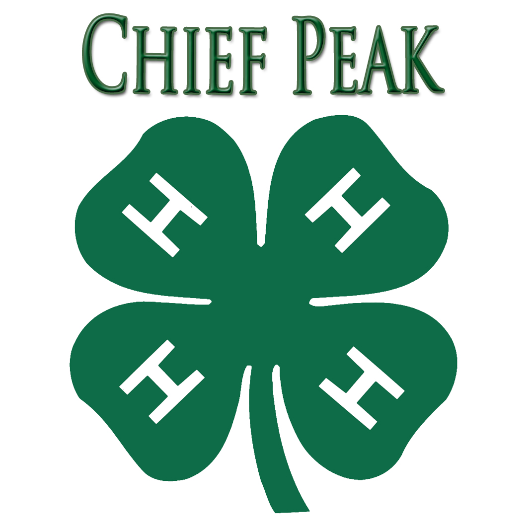 chief peak 4-H